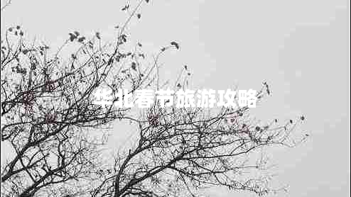 華北春節(jié)旅游攻略