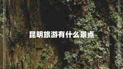 昆明旅游有什么景點 昆明旅游有什么景點