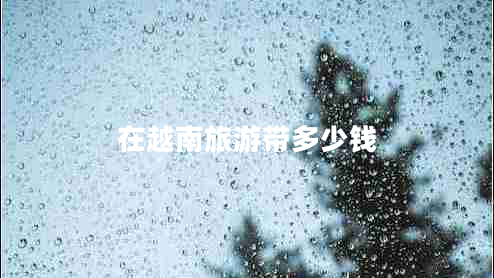 在越南旅游帶多少錢(qián)
