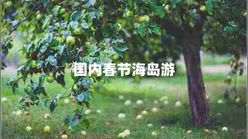 國內(nèi)春節(jié)海島游