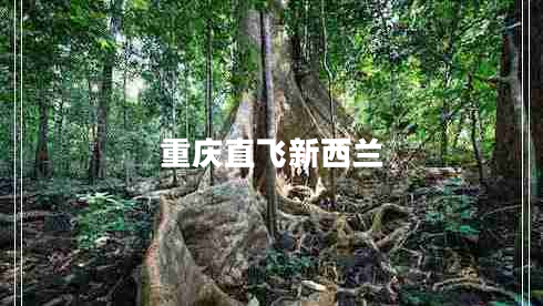 重慶直飛新西蘭