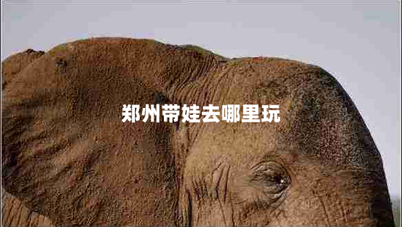 鄭州帶娃去哪里玩 鄭州帶娃去哪里玩