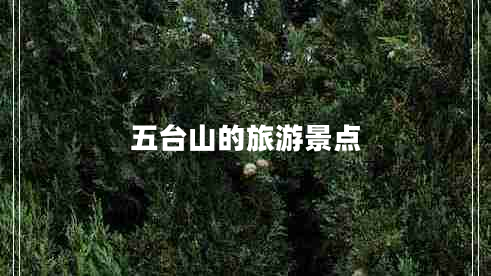 五臺(tái)山的旅游景點(diǎn)