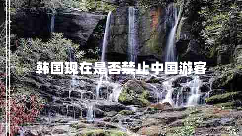 韓國現(xiàn)在是否禁止中國游客