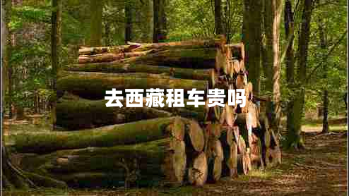 去西藏租車貴嗎 去西藏租車貴嗎