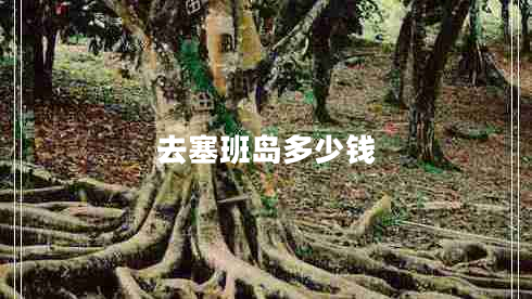 去塞班島多少錢 去塞班島多少錢