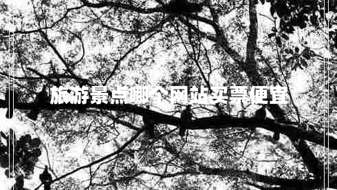 旅游景點哪個網(wǎng)站買票便宜