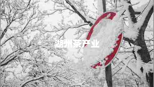 湖州茶產(chǎn)業(yè)