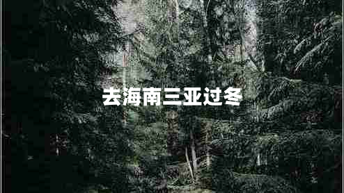 去海南三亞過冬 去海南三亞過冬