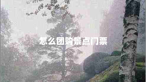 怎么團購景點門票