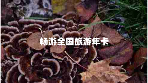 暢游全國旅游年卡