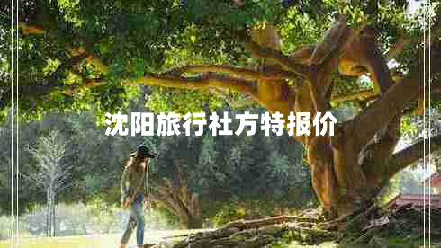 沈陽旅行社方特報價