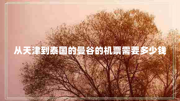 從天津到泰國的曼谷的機票需要多少錢 從天津到泰國的曼谷的機票需要多少錢