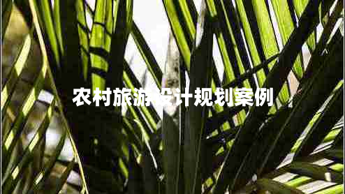 農(nóng)村旅游設(shè)計規(guī)劃案例 農(nóng)村旅游設(shè)計規(guī)劃案例