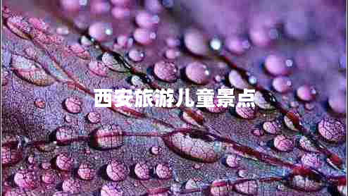 西安旅游兒童景點(diǎn)