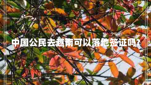 中國公民去越南可以落地簽證嗎?