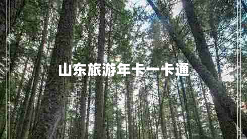 山東旅游年卡一卡通