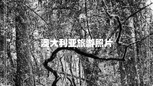 澳大利亞旅游照片