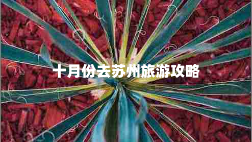 十月份去蘇州旅游攻略