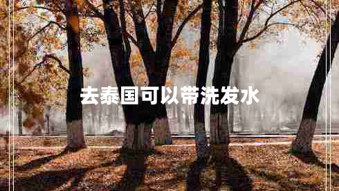 去泰國(guó)可以帶洗發(fā)水