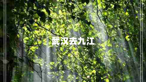 武漢去九江 武漢去九江