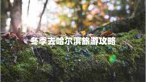 冬季去哈爾濱旅游攻略 冬季去哈爾濱旅游攻略