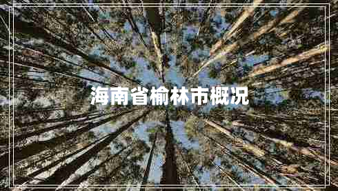 海南省榆林市概況