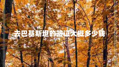 去巴基斯坦的簽證大概多少錢 去巴基斯坦的簽證大概多少錢