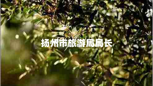 揚(yáng)州市旅游局局長