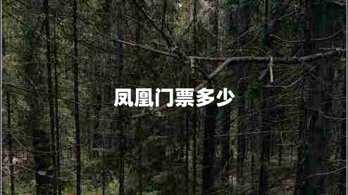 鳳凰門(mén)票多少 鳳凰門(mén)票多少