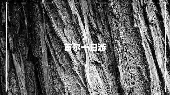 首爾一日游 首爾一日游