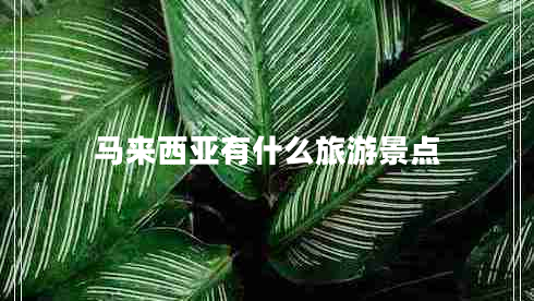 馬來西亞有什么旅游景點(diǎn)