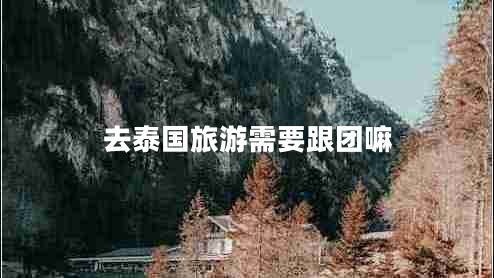 去泰國旅游需要跟團嘛 去泰國旅游需要跟團嘛