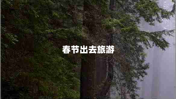 春節(jié)出去旅游