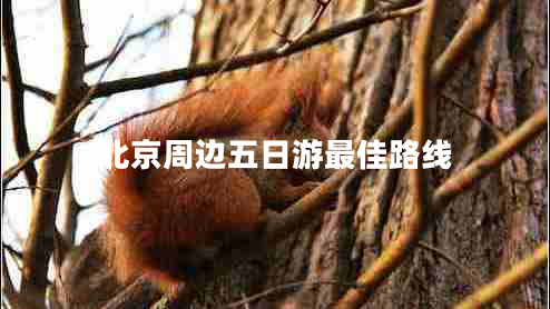 北京周邊五日游最佳路線