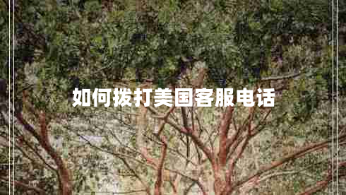 如何撥打美國客服電話 如何撥打美國客服電話
