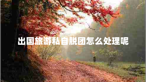 出國(guó)旅游私自脫團(tuán)怎么處理呢