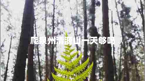 爬泉州清源山一天夠嗎 爬泉州清源山一天夠嗎