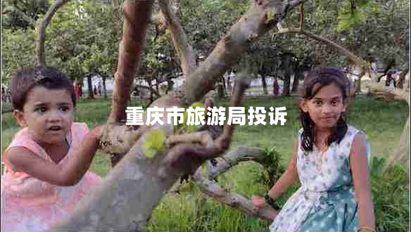 重慶市旅游局投訴