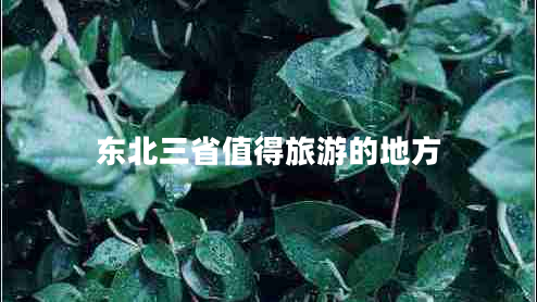 東北三省值得旅游的地方
