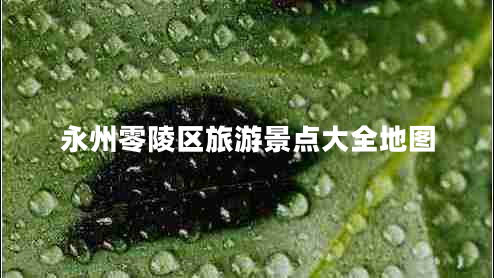 永州零陵區(qū)旅游景點大全地圖