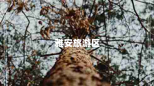 雅安旅游區(qū) 雅安旅游區(qū)