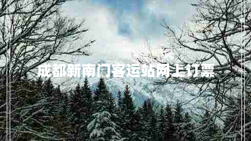 成都新南門客運(yùn)站網(wǎng)上訂票
