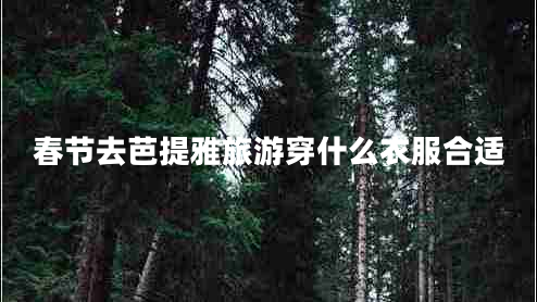 春節(jié)去芭提雅旅游穿什么衣服合適