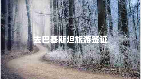 去巴基斯坦旅游簽證 去巴基斯坦旅游簽證