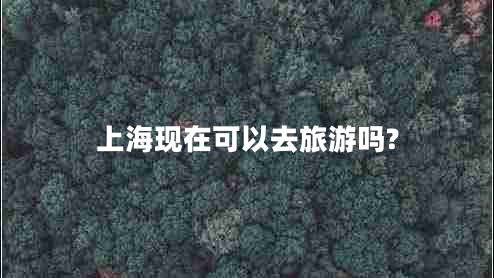 上?，F(xiàn)在可以去旅游嗎?