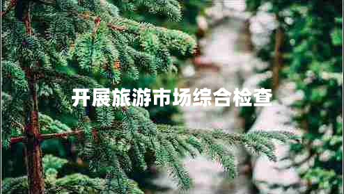 開展旅游市場綜合檢查 開展旅游市場綜合檢查