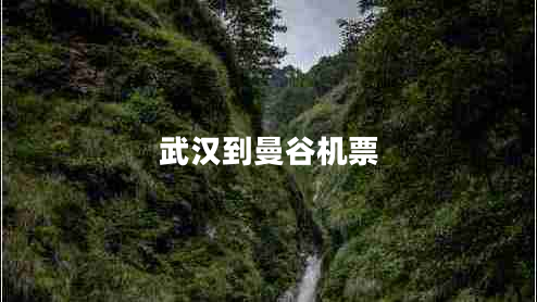 武漢到曼谷機(jī)票