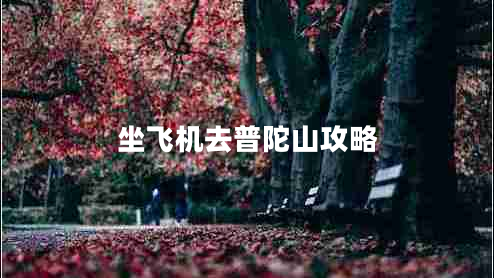 坐飛機(jī)去普陀山攻略 坐飛機(jī)去普陀山攻略