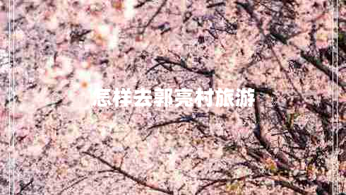 怎樣去郭亮村旅游